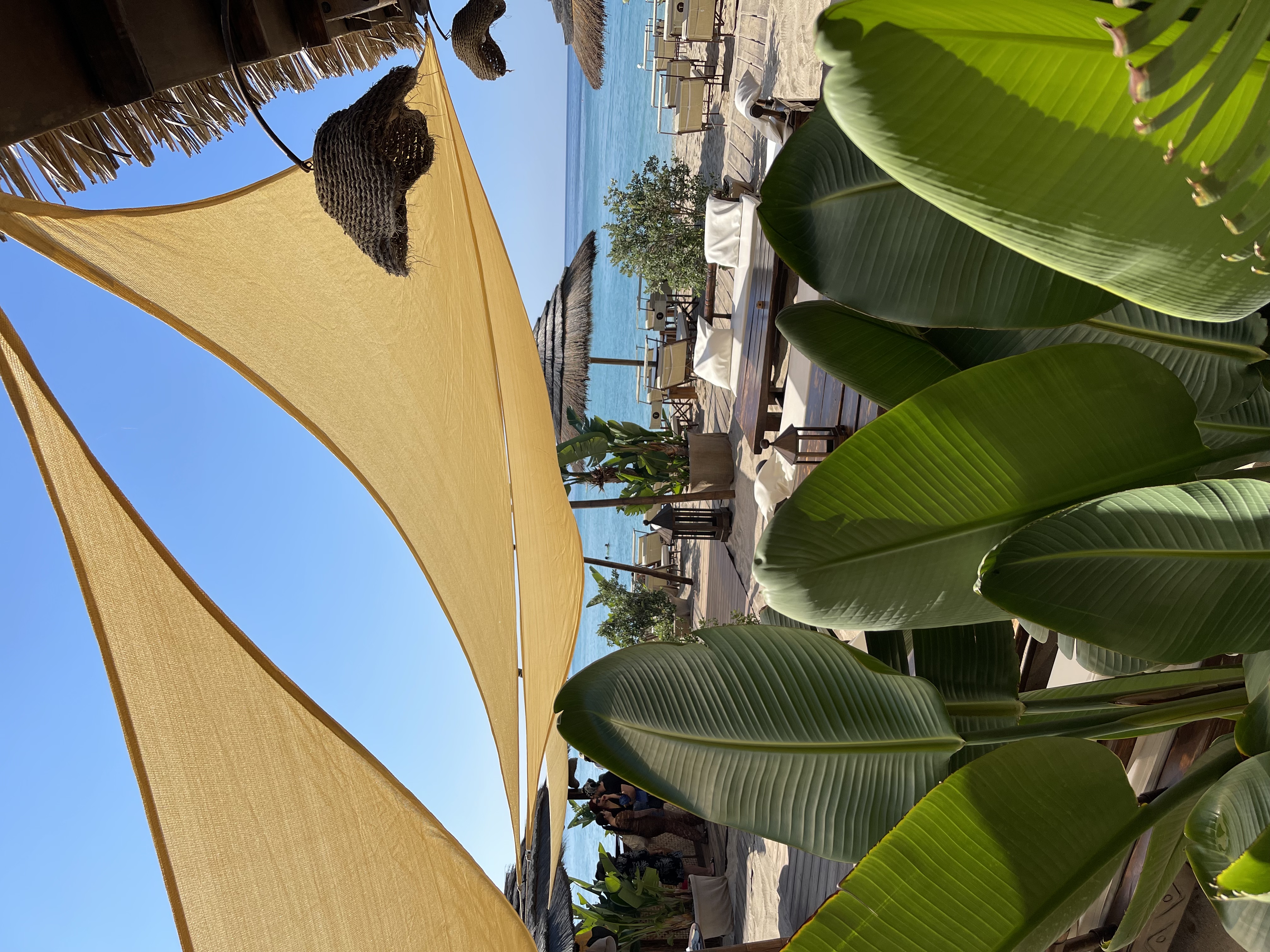 Togo Bay Beach Club