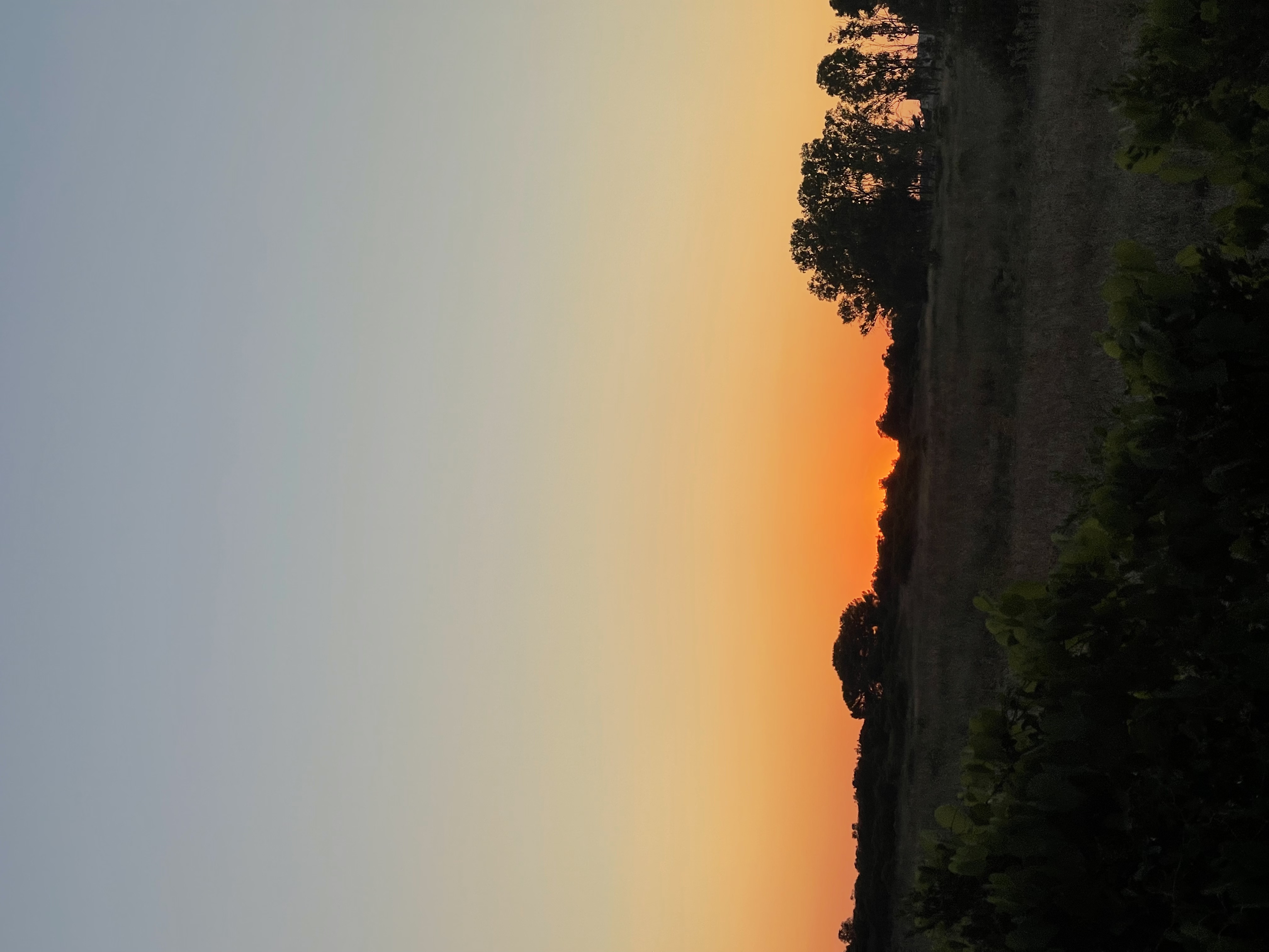 Tramonto sulla macchia mediterranea